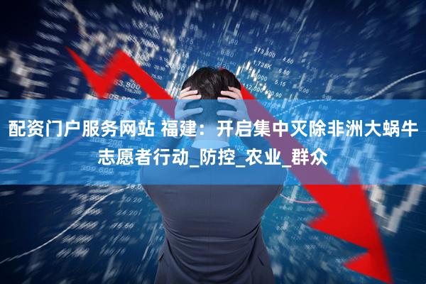 配资门户服务网站 福建：开启集中灭除非洲大蜗牛志愿者行动_防控_农业_群众